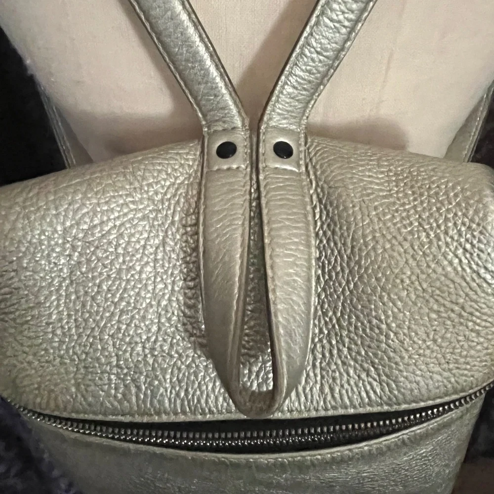 Kara Backpack  Rich Warm Silver Tone   Minimalist Utilitarian Vibe